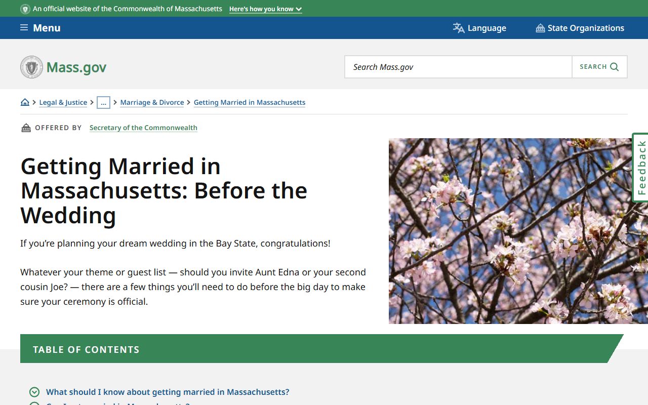 Norfolk County marriage records process guide from Massachusetts Mass.gov
